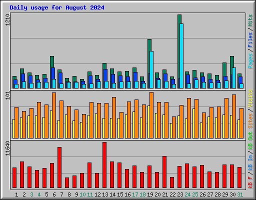 Daily usage for August 2024