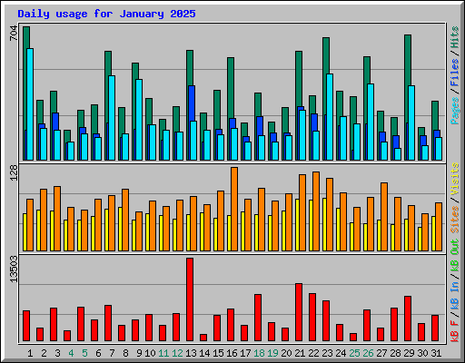 Daily usage for January 2025