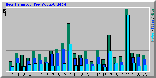 Hourly usage for August 2024