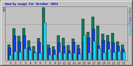 Hourly usage for October 2024