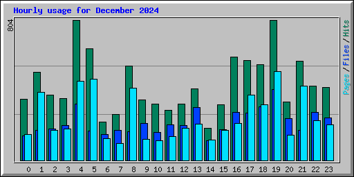 Hourly usage for December 2024