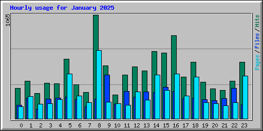 Hourly usage for January 2025