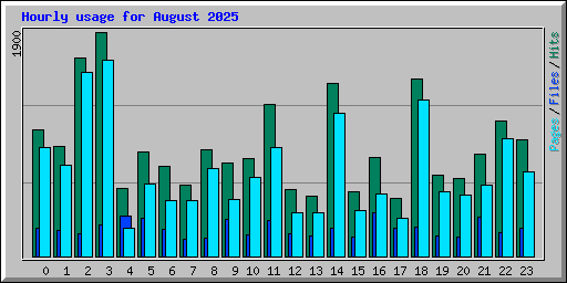Hourly usage for August 2025