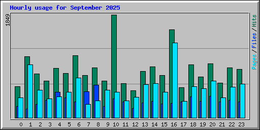 Hourly usage for September 2025