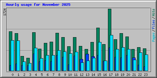 Hourly usage for November 2025