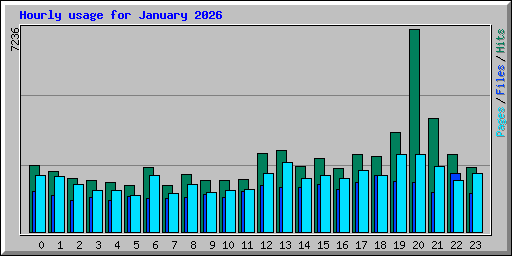 Hourly usage for January 2026