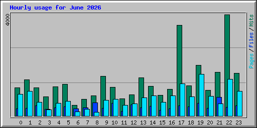 Hourly usage for June 2026