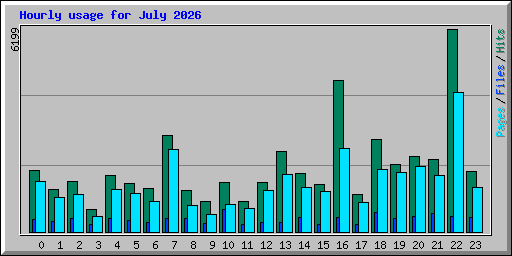 Hourly usage for July 2026