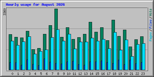 Hourly usage for August 2026